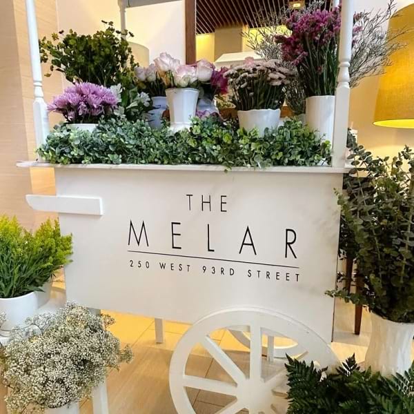 The Melar photo 4